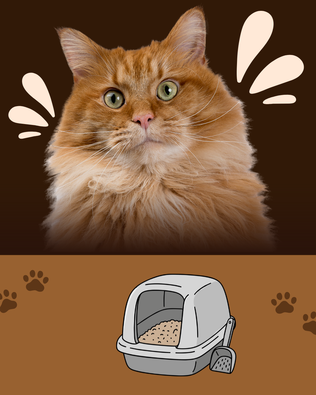 brown playful international cat day instagram post