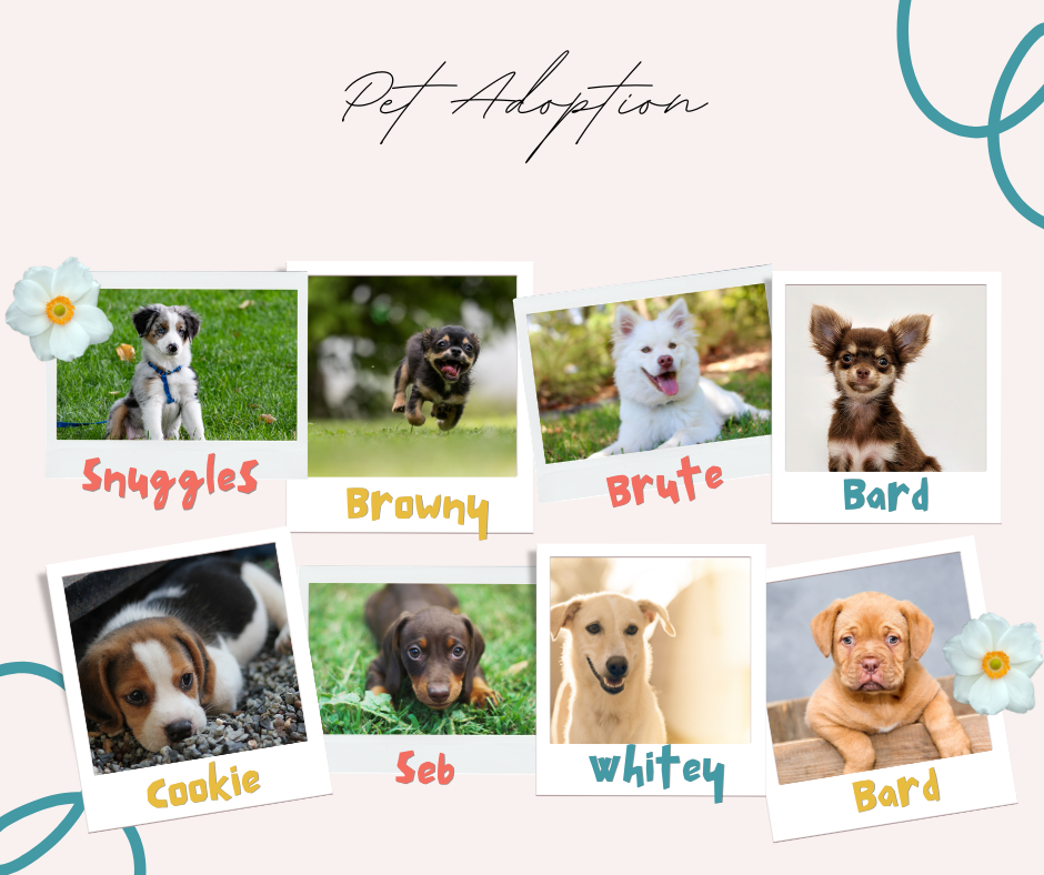 cream blue collage pets adoption facebook post