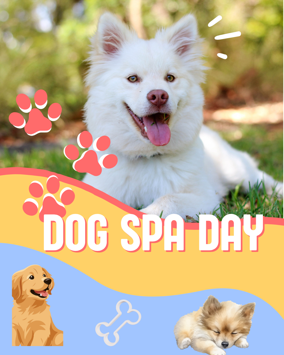 yellow and blue cute illustrative pets instagram post